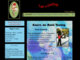 tapnswing.com