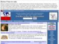 bichonfriseforsale.com