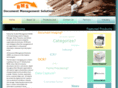 dmsolutions1.com