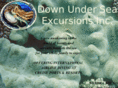 downunderseaexcursionsinc.com