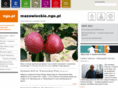 mazowsze.ngo.pl