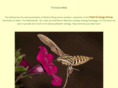 pollinationweb.org