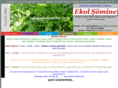 ekolsomine.com