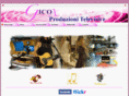 gicox.com