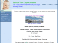professional-carpetcleaning.com