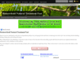 hemorrhoidnaturaltreatmentfast.com