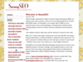 sassyseo.com