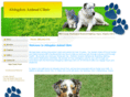 abingdonanimalclinic.com