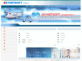 skynetsoft.com