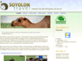 soyolon-travel.de