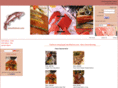 aboutsalmon.com