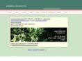 bremenorchestra.net