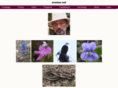 ereimer.net