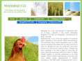 mahabadcompany.com