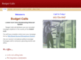 budgetcalls.net