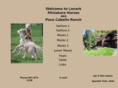 lanarkminiatures.com