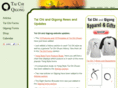 taichiandqigong.com