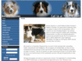 australianshepherdcolorado.com
