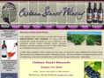 chateausinnet.com
