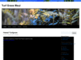 turfgrassmaui.com