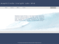 maphi-insight.com