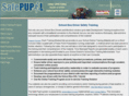 safepupil.com