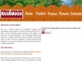 pro-stain.com