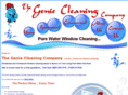 thegeniecleaningcompany.com