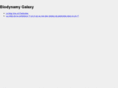 biody-galaxy.com