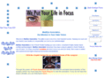 homestead-lasik.com