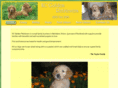 kcgoldenretrievers.com