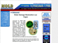 lasvegasmold.com