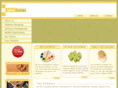 softelsystems.com