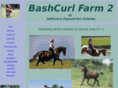bashcurlfarm-2.com