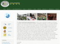 schoolofthenations.com