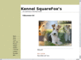 squarefoxs.com