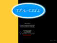 tea-cefi.com