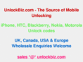 unlockbiz.com