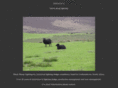 blacksheeplighting.com