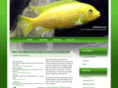 efishcam.com