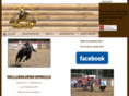 festivalcountrylaviree.com