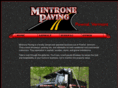 mintronepaving.com