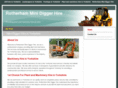 rotherhamminidiggerhire.com