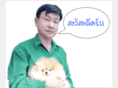 dreamteam-pom.com
