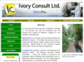 ivoryconsult.com
