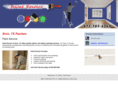paintservicetx.com