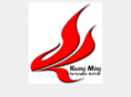 tw1muffler.com