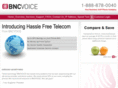 bncvoice.com