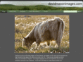davidmasonimages.com