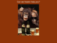 festivemonkey.com